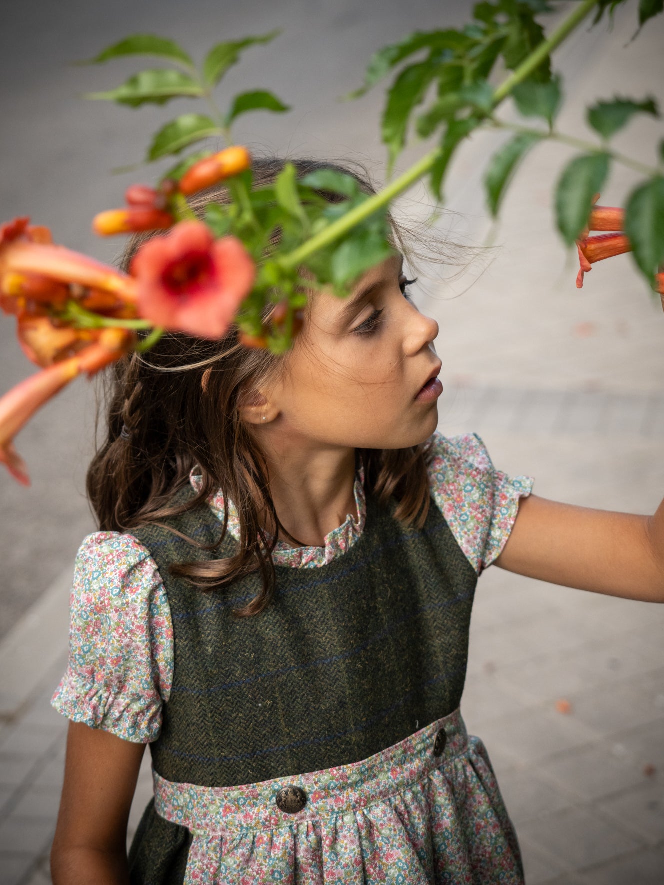 Tirolés espiga verde