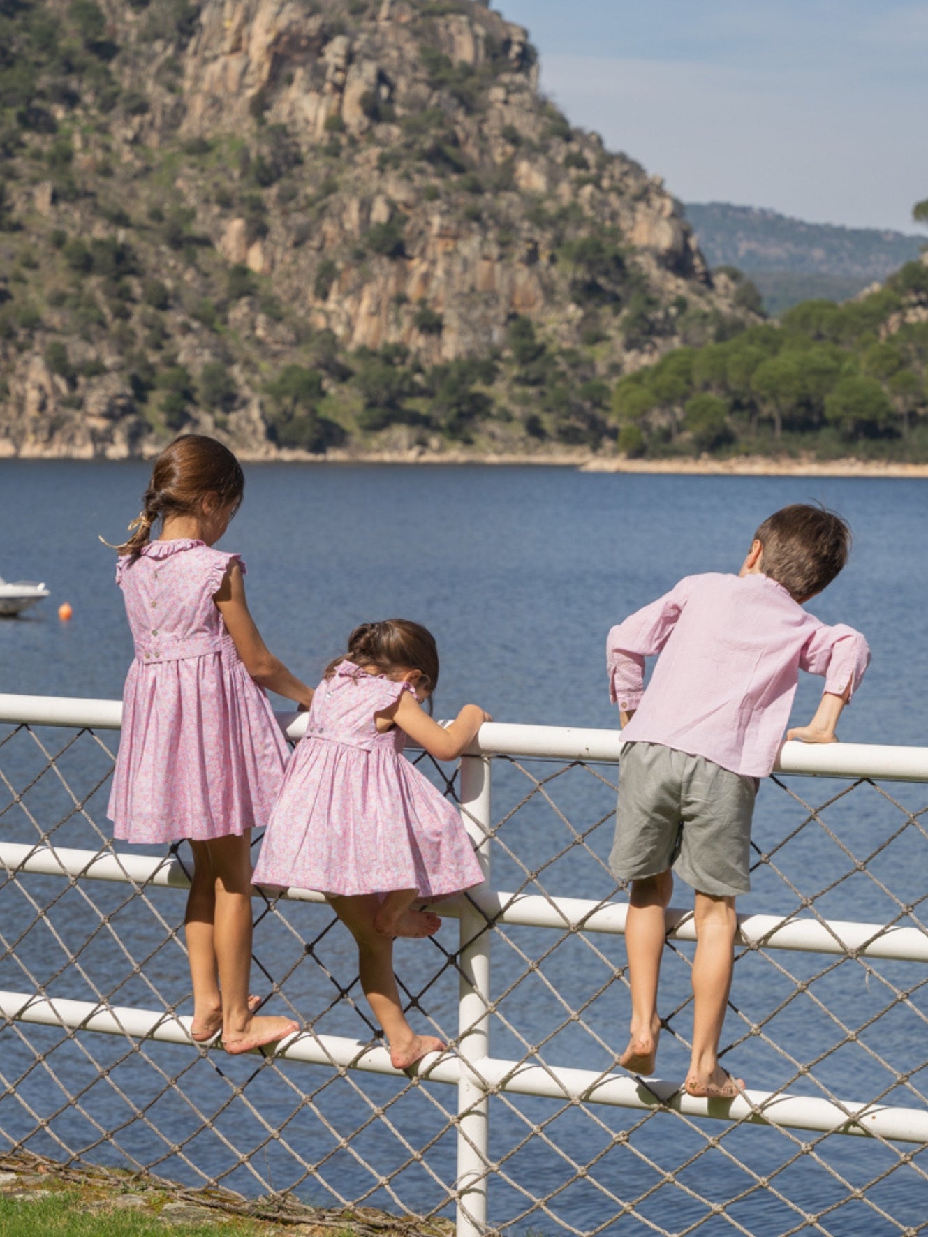 Bermuda verde liquen